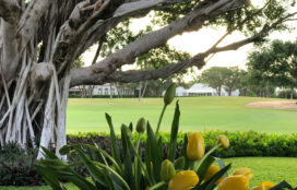 Golf cottage - view from loggia to first fairway of golf course