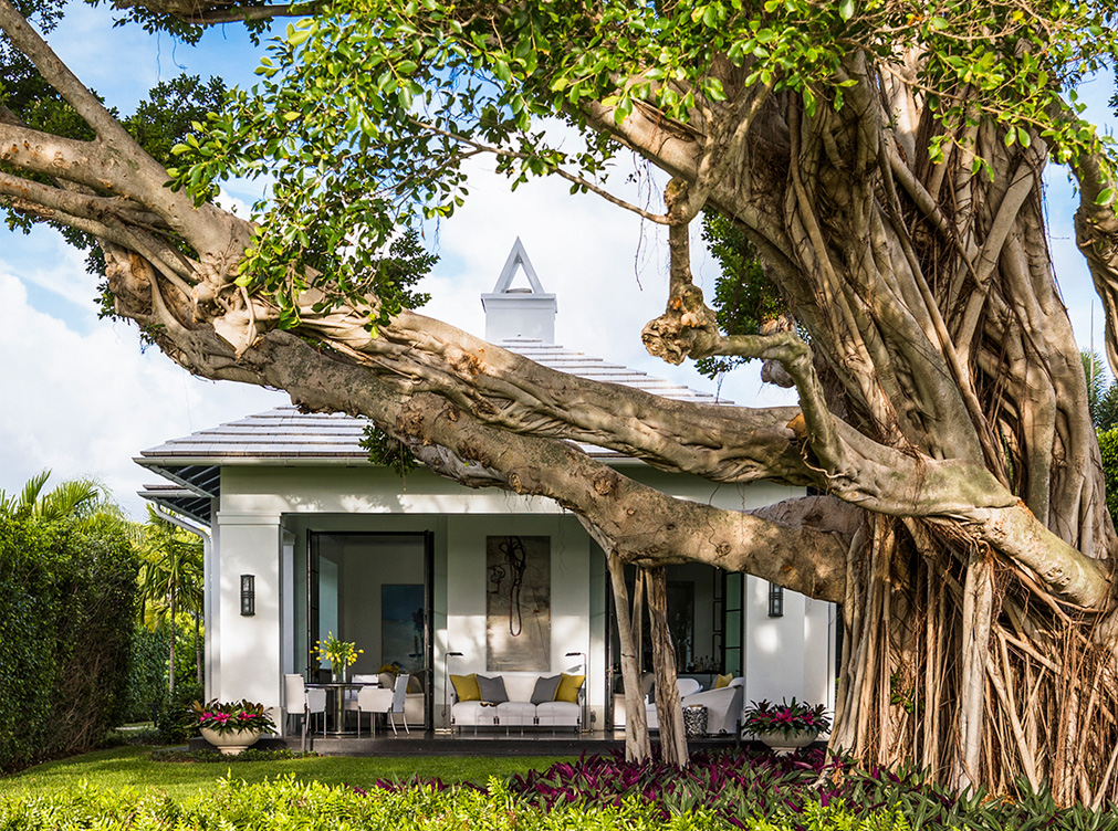 Exterior view of golf cottage in North Palm Beach and majestic banyan tree