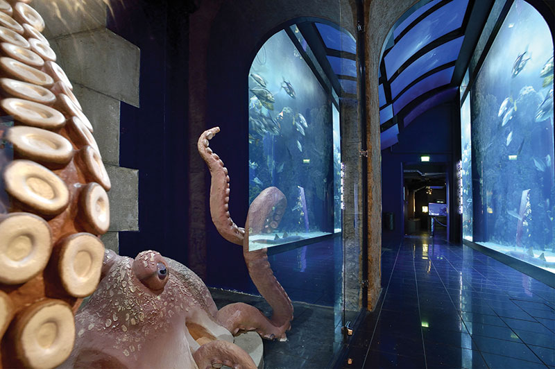 The museum's galleries are submerged so that visitors feel as though they are underground.