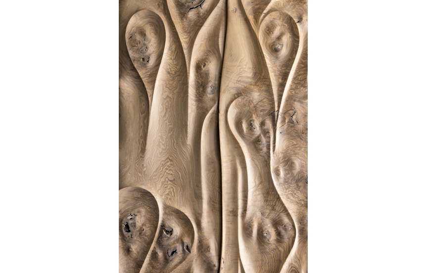 Detail of 'Erosion' Cabinet by Joseph Walsh custom designed for Suzanne Lovell Inc. residence